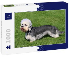 Lais Puzzle - Dandie Dinmont Terrier - 1.000 Teile