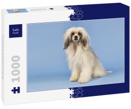 Lais Puzzle - Chinesischer Schopfhund haarig - 1.000 Teile