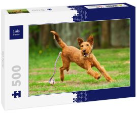 Lais Puzzle - Irish Terrier - 500 Teile