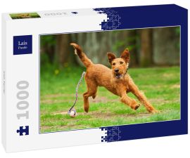 Lais Puzzle - Irish Terrier - 1.000 Teile