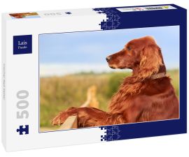 Lais Puzzle - Irischer Red Setter - 500 Teile