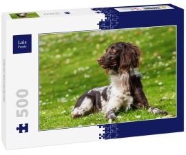 Lais Puzzle - Kleiner Münsterländer - 500 Teile