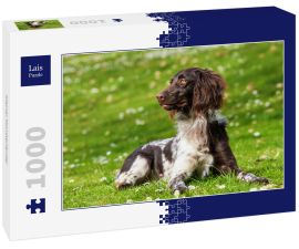 Lais Puzzle - Kleiner Münsterländer - 1.000 Teile