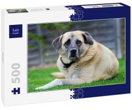 Lais Puzzle - Kangal - 500 Teile
