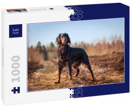 Lais Puzzle - Gordon Setter - 1.000 Teile
