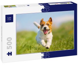 Lais Puzzle - Jack Russell Terrier - 500 Teile