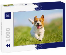 Lais Puzzle - Jack Russell Terrier - 1.000 Teile