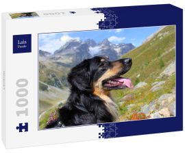 Lais Puzzle - Hovawart - 1.000 Teile