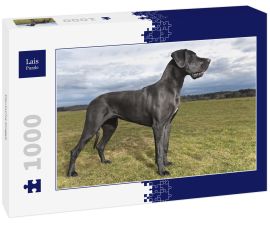 Lais Puzzle - Deutsche Dogge - 1.000 Teile