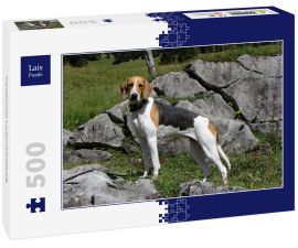 Lais Puzzle - Französischer Laufhund Dreifarbig - 500 Teile