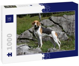 Lais Puzzle - Französischer Laufhund Dreifarbig - 1.000 Teile