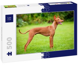 Lais Puzzle - Cirneco dell Etna - 500 Teile