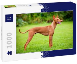Lais Puzzle - Cirneco dell Etna - 1.000 Teile
