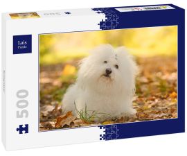 Lais Puzzle - Bologneser - 500 Teile