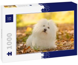 Lais Puzzle - Bologneser - 1.000 Teile