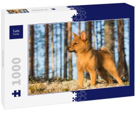 Lais Puzzle - Finnenspitz - 1.000 Teile