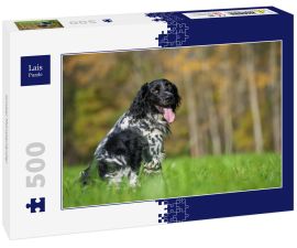 Lais Puzzle - Großer Münsterländer - 500 Teile