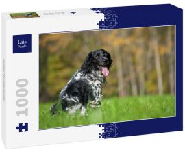 Lais Puzzle - Großer Münsterländer - 1.000 Teile