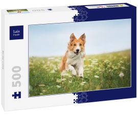 Lais Puzzle - Border Collie - 500 Teile