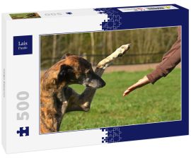Lais Puzzle - Galgo Espanol - 500 Teile