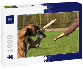 Lais Puzzle - Galgo Espanol - 1.000 Teile