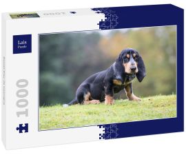 Lais Puzzle - Basset Bleu de Gascogne - 1.000 Teile