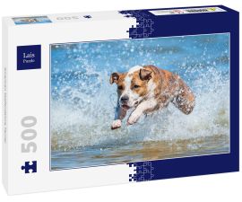 Lais Puzzle - American Staffordshire Terrier - 500 Teile