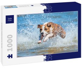 Lais Puzzle - American Staffordshire Terrier - 1.000 Teile