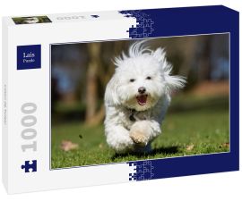 Lais Puzzle - Coton de Tulear - 1.000 Teile