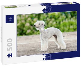 Lais Puzzle - Bedlington Terrier - 500 Teile