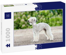 Lais Puzzle - Bedlington Terrier - 1.000 Teile
