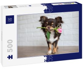 Lais Puzzle - Chihuahua - 500 Teile