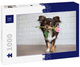 Lais Puzzle - Chihuahua - 1.000 Teile