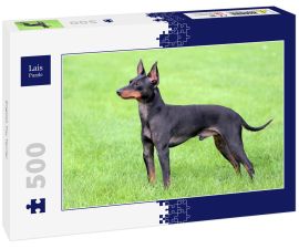 Lais Puzzle - English Toy Terrier - 500 Teile