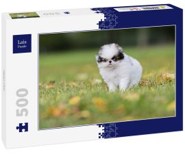 Lais Puzzle - Japan Chin - 500 Teile