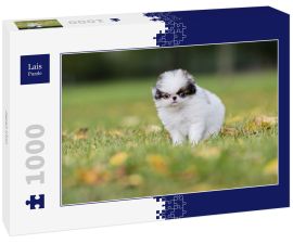 Lais Puzzle - Japan Chin - 1.000 Teile