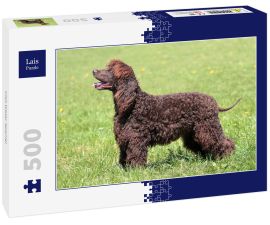 Lais Puzzle - Irish Water Spaniel - 500 Teile