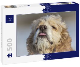 Lais Puzzle - Amerikanischer Cocker Spaniel - 500 Teile