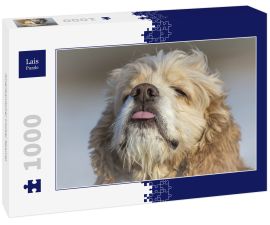 Lais Puzzle - Amerikanischer Cocker Spaniel - 1.000 Teile