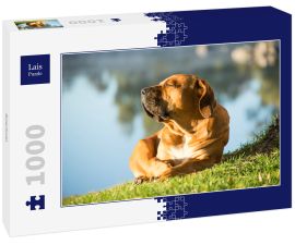Lais Puzzle - Boerboel - 1.000 Teile