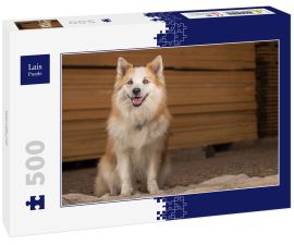 Lais Puzzle - Islandhund - 500 Teile
