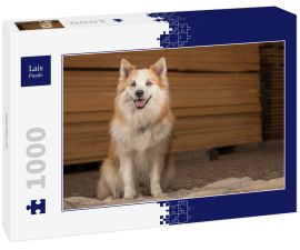 Lais Puzzle - Islandhund - 1.000 Teile