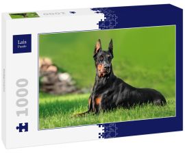 Lais Puzzle - Dobermann - 1.000 Teile