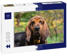 Lais Puzzle - Bloodhound - 500 Teile