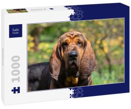 Lais Puzzle - Bloodhound - 1.000 Teile