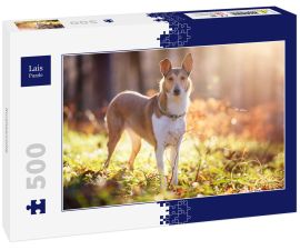 Lais Puzzle - Kurzhaarcollie - 500 Teile
