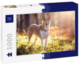 Lais Puzzle - Kurzhaarcollie - 1.000 Teile