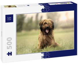 Lais Puzzle - Briard - 500 Teile