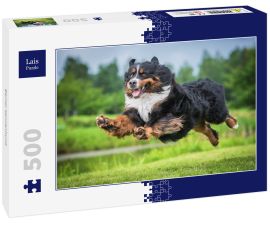 Lais Puzzle - Berner Sennenhund - 500 Teile