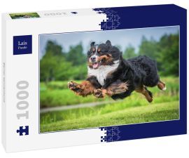 Lais Puzzle - Berner Sennenhund - 1.000 Teile